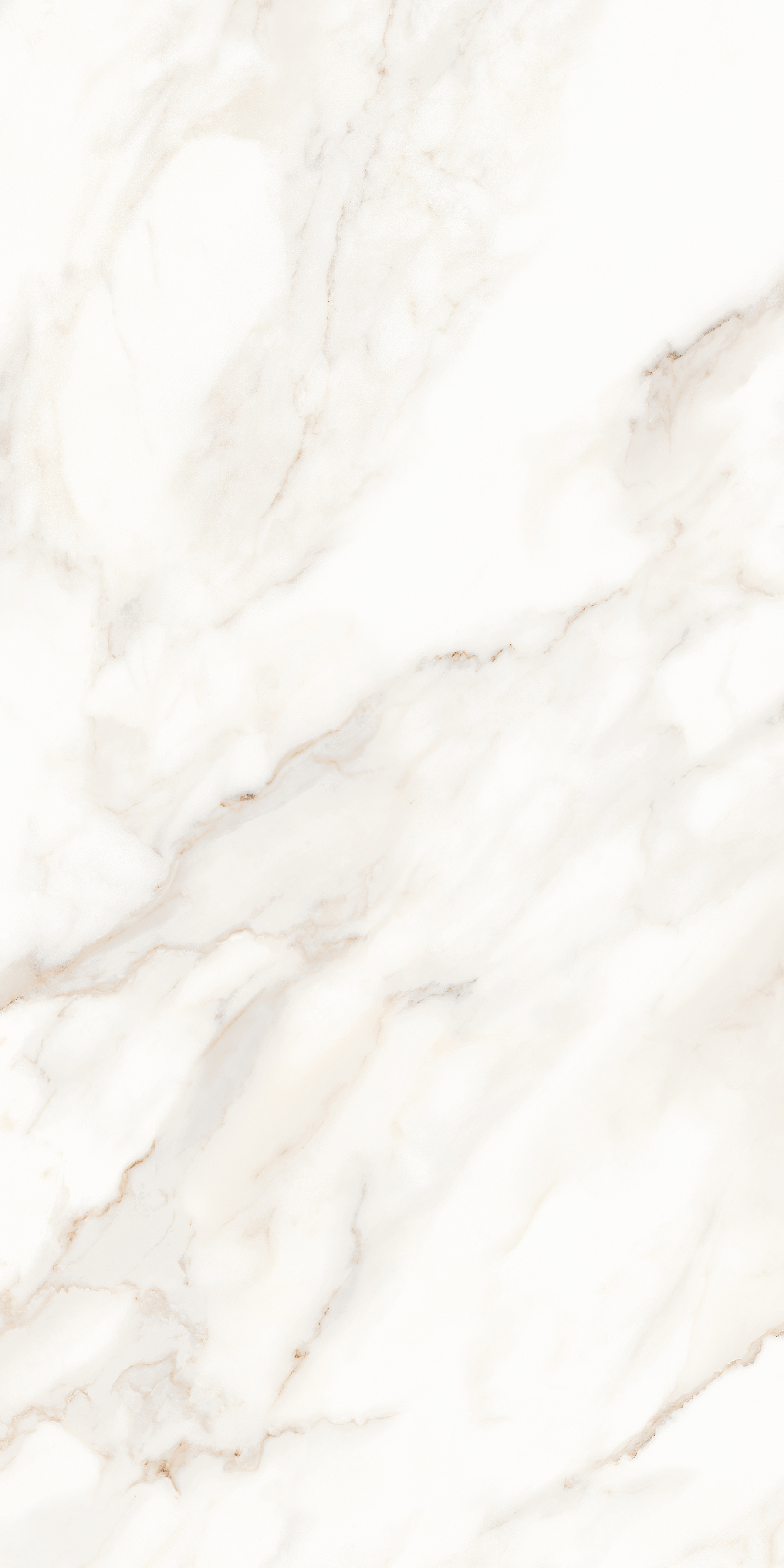MPL-058623 Calacatta Polished 60x120 Creto
