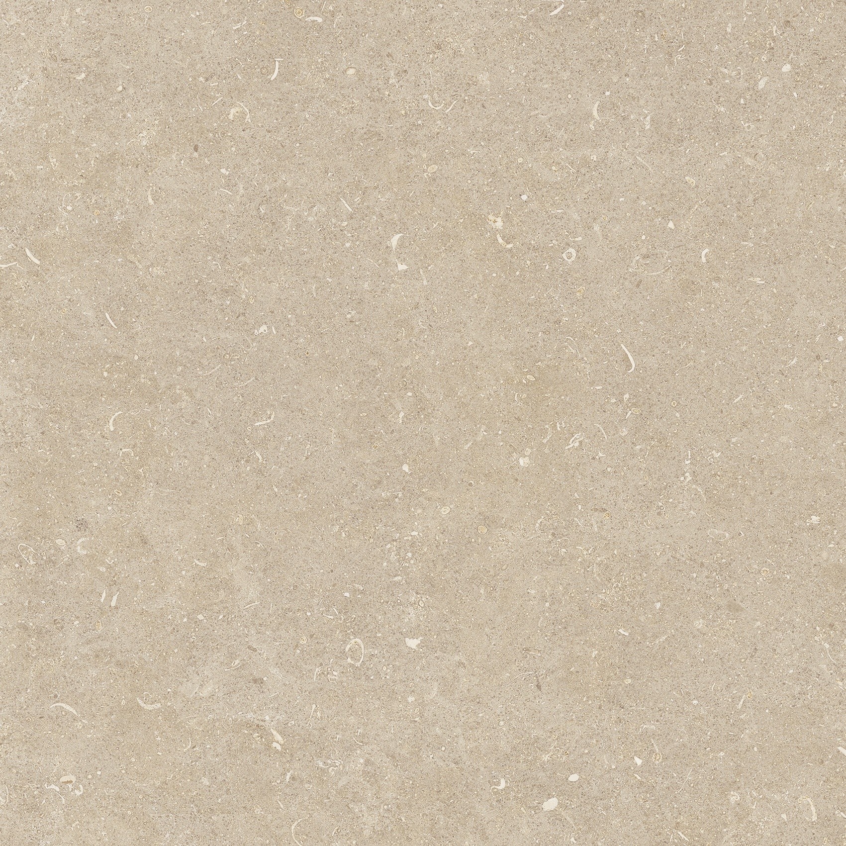 785485 Rinascenza Arena Conchiglia Matte 60x60 Casa Dolce Casa фото 10