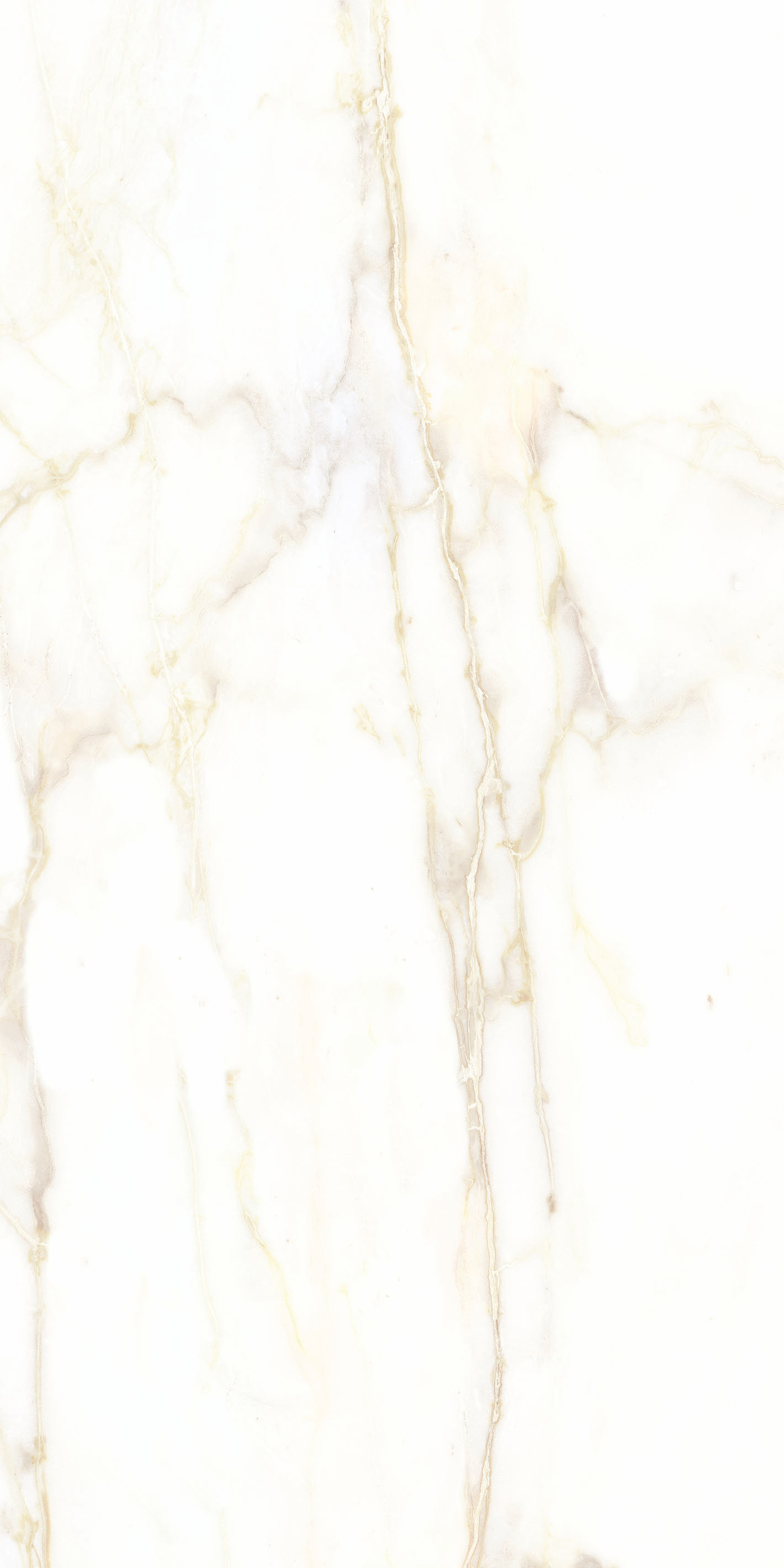 769471 Chimera Empatia Bianco Mat Ret 6mm 60x120 Cedit