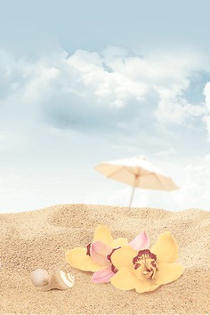 Cocktail Декор D3 D3D140 20х30 Дельта Керамика