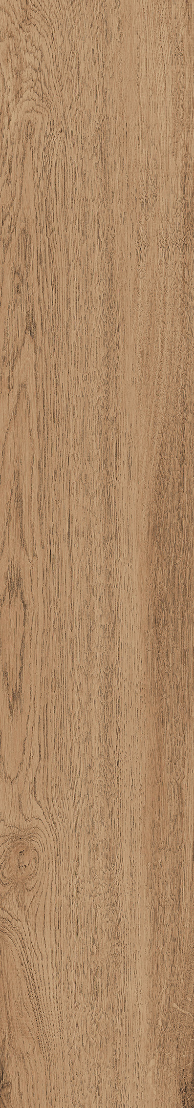 1106 Modena Brown Mate 120x20 Artcer
