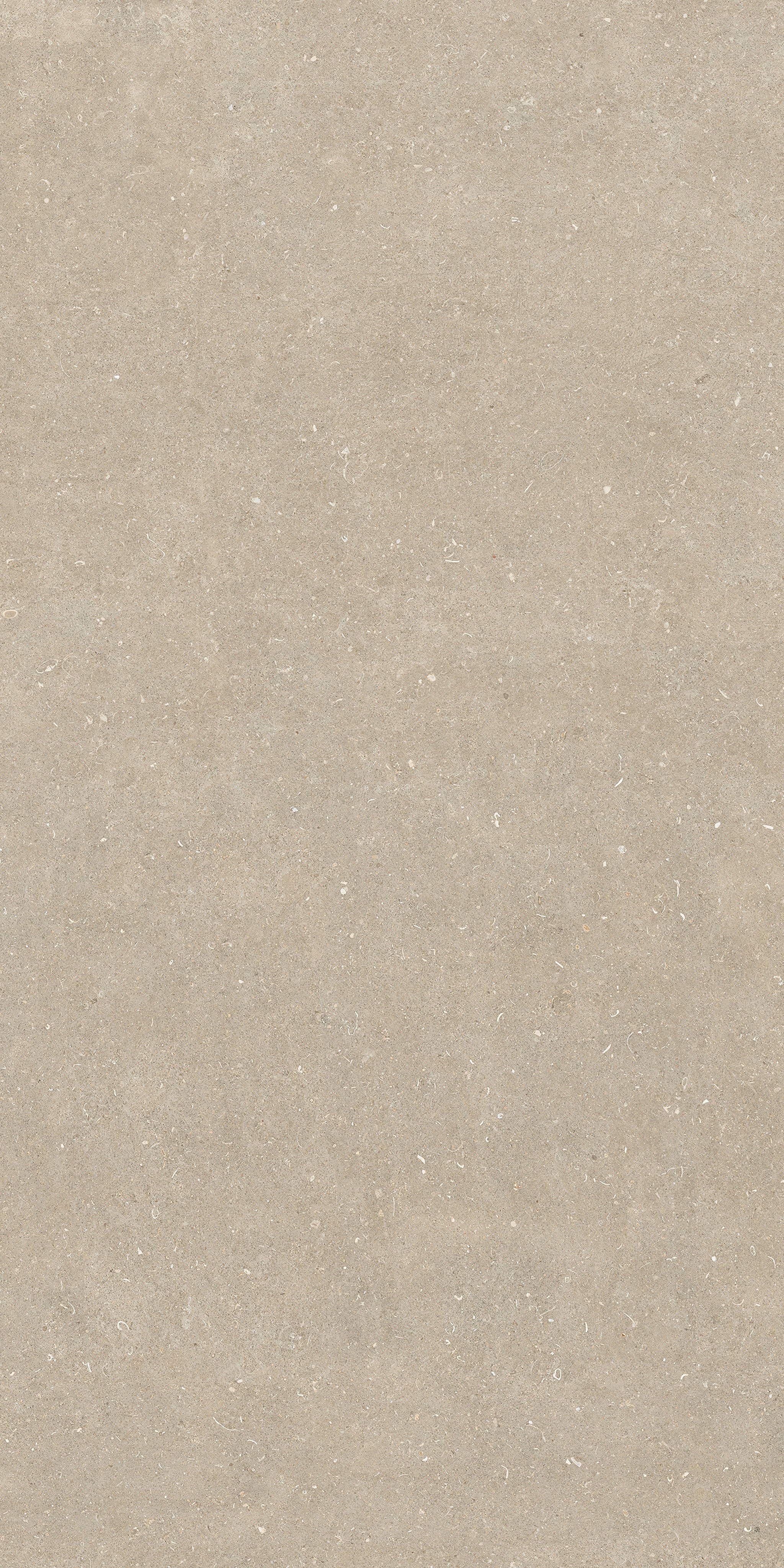 785583 Rinascenza Arena Conchiglia Matte 6mm 120x240 Casa Dolce Casa фото 3