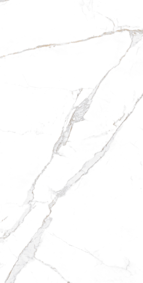 Satori Statuario Glossy 60x120 Modern Tile