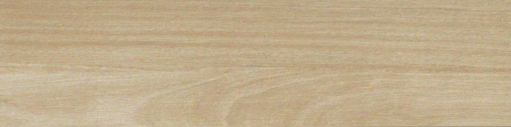 NUANCES FAGGIO 22,5X90 RT FAP Ceramiche