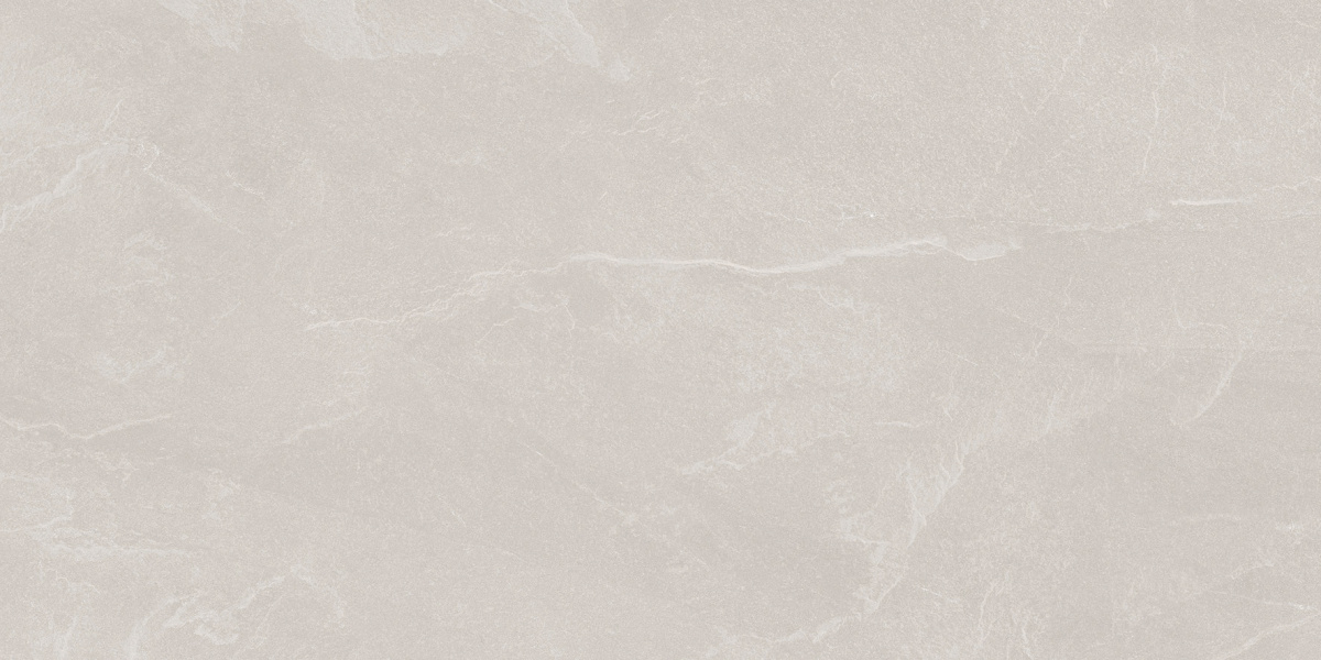 Archie Bianco Pro светло-серый матовый R10GR STR 60х120 Laparet