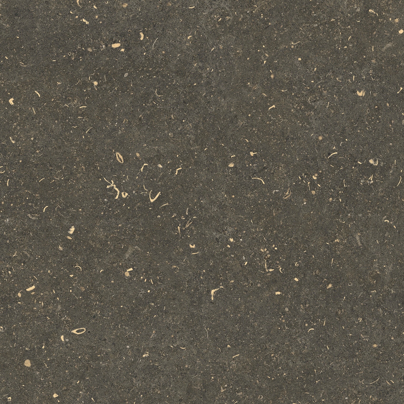 785487 Rinascenza Arena Platino Matte 60x60 Casa Dolce Casa фото 7