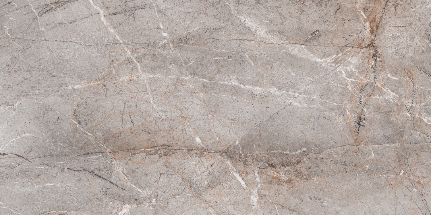 S4431M Lester Grey Mat 60x120 Buono Ceramica фото 2