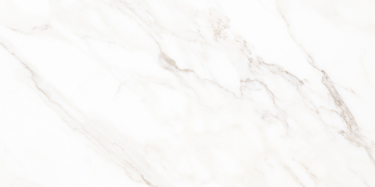 N40030 Calacatta Michael Carving 60x120 Neodom