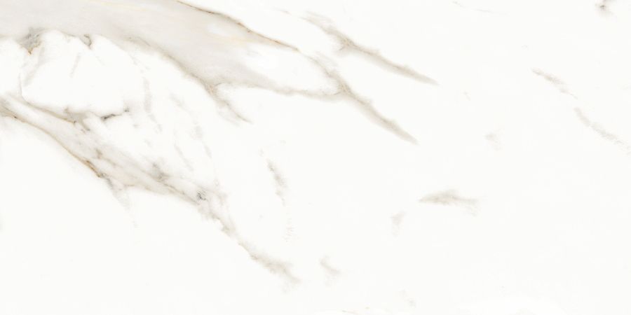 N12028 Marmol Carrara Polished 60x120 Neodom