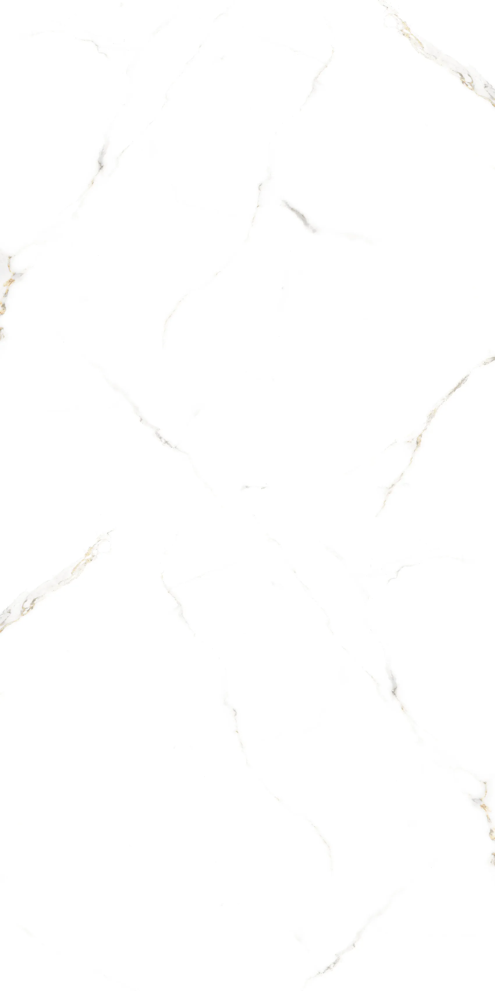 Satvario Lite White 60x120 Velsaa фото 4