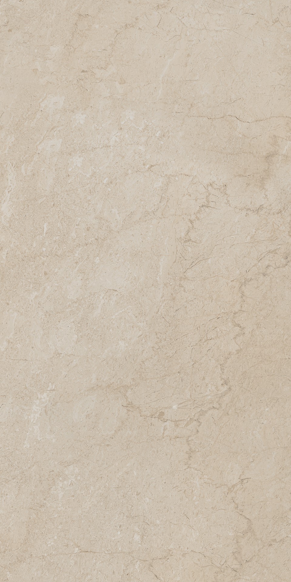 AEM01 Элемента Бежевый Неполированный Рект 60x120x9 Ametis by Estima фото 11