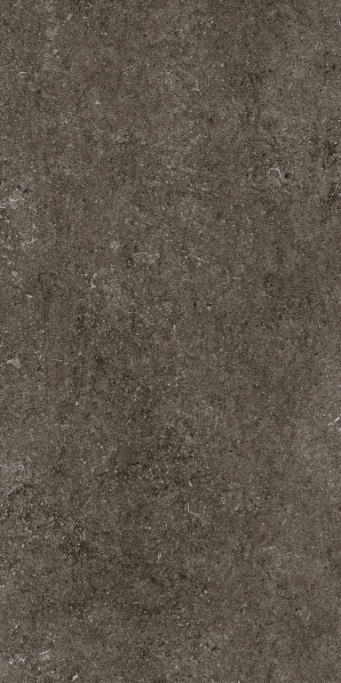 768328 Sensi Brown Fossil R+PTV Ret 60x120 Casa Dolce Casa