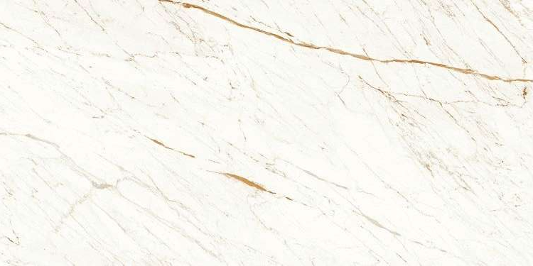 1031 Nero White carving 9 mm 120x60 Artcer