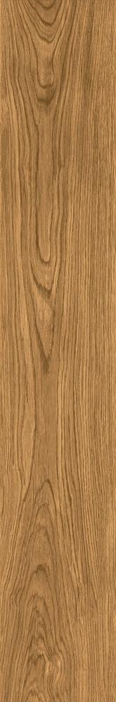 CAI7 Izumi IZ07 Miele Selezionato SP SQ 20x120 Mirage