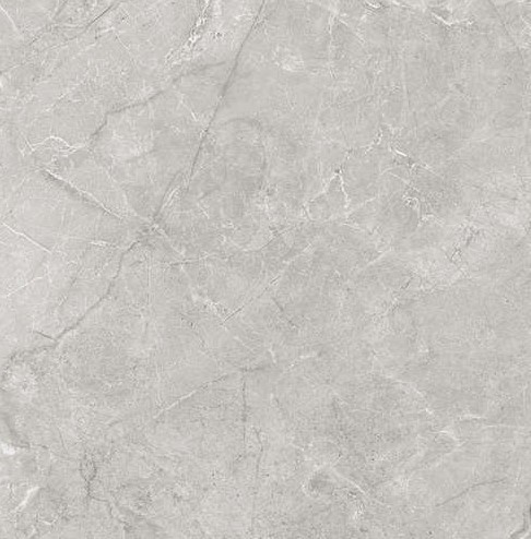 SG625820R Pluto Silver Светло-Серый 60х60 Laparet