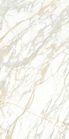 MN087AP321612 Alaska White Polished 160x320 Moreroom Stone