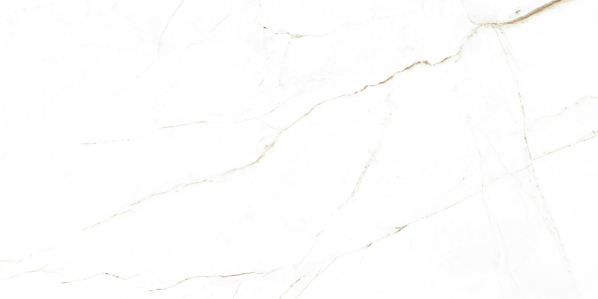 38712 Dual White NT/60X120X0,9/C/R 60x120 Peronda фото 27