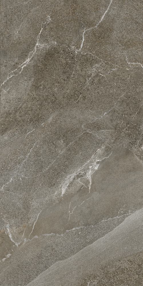 6493-0146 Гроза бежево-коричневый 60х120 Lasselsberger фото 15