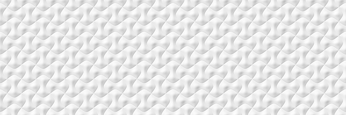 V14402281 Artis White Matt 33.3x100 Venis