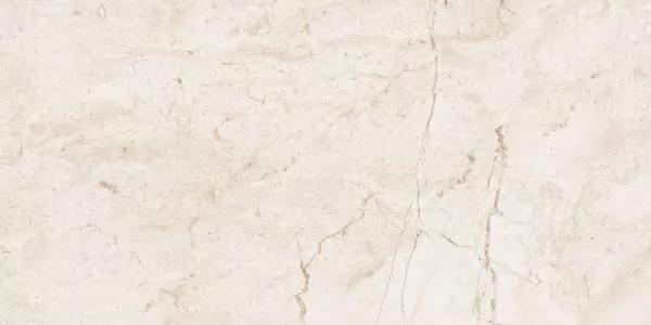 6406 Stone Ivory Polished 60x120 Leopard