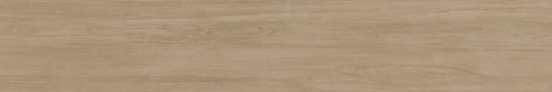 Alessandria Arce 19.5x120x0.9 Prissmacer фото 13