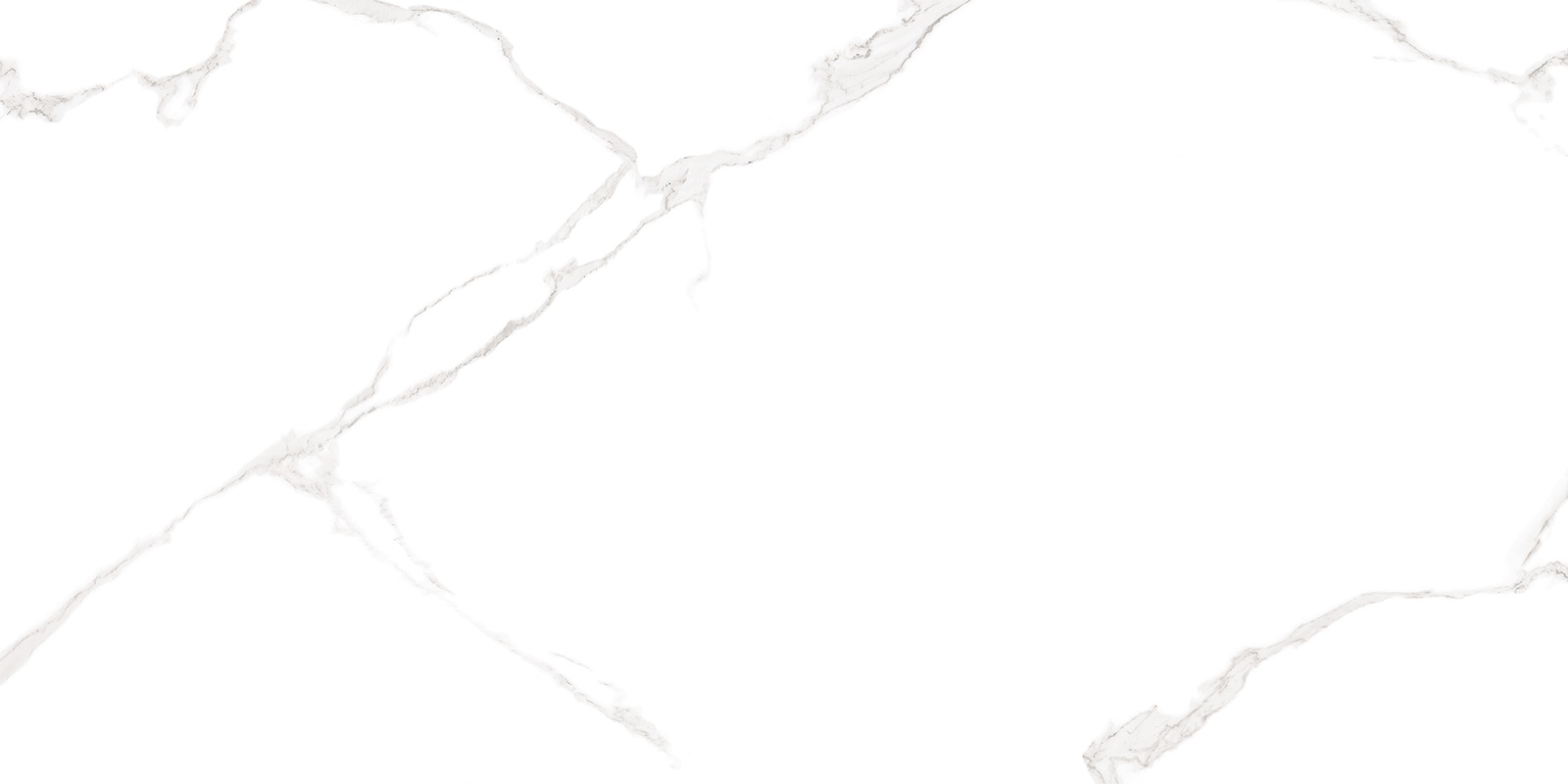WT9ELT00 Elemento Bianco Carrara 250*500*9 AltaCera