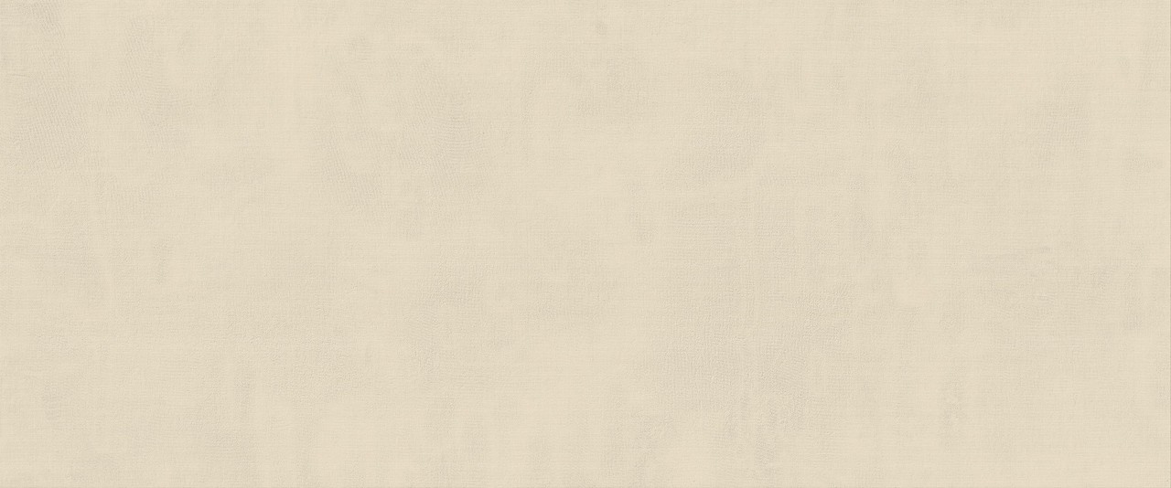 HCDQ Vest Linen Matt 50x120 Atlas Concorde фото 4