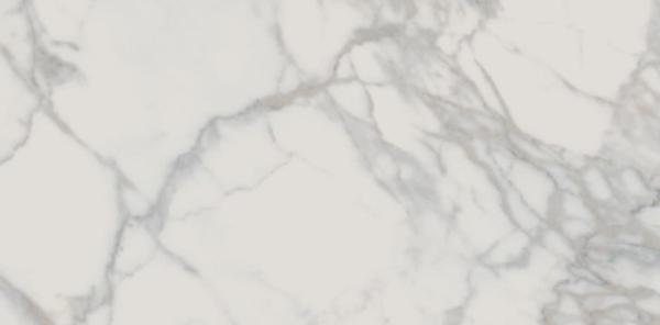 Statuario Matte 60х120 Edilcuoghi