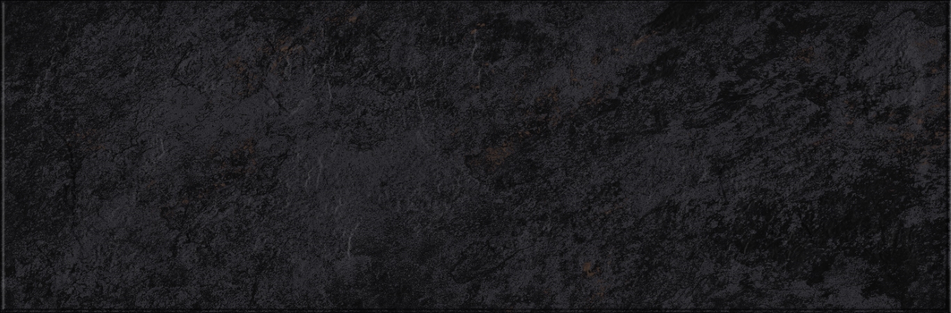 618 Image Dark 32,5х100 Eurotile Ceramica