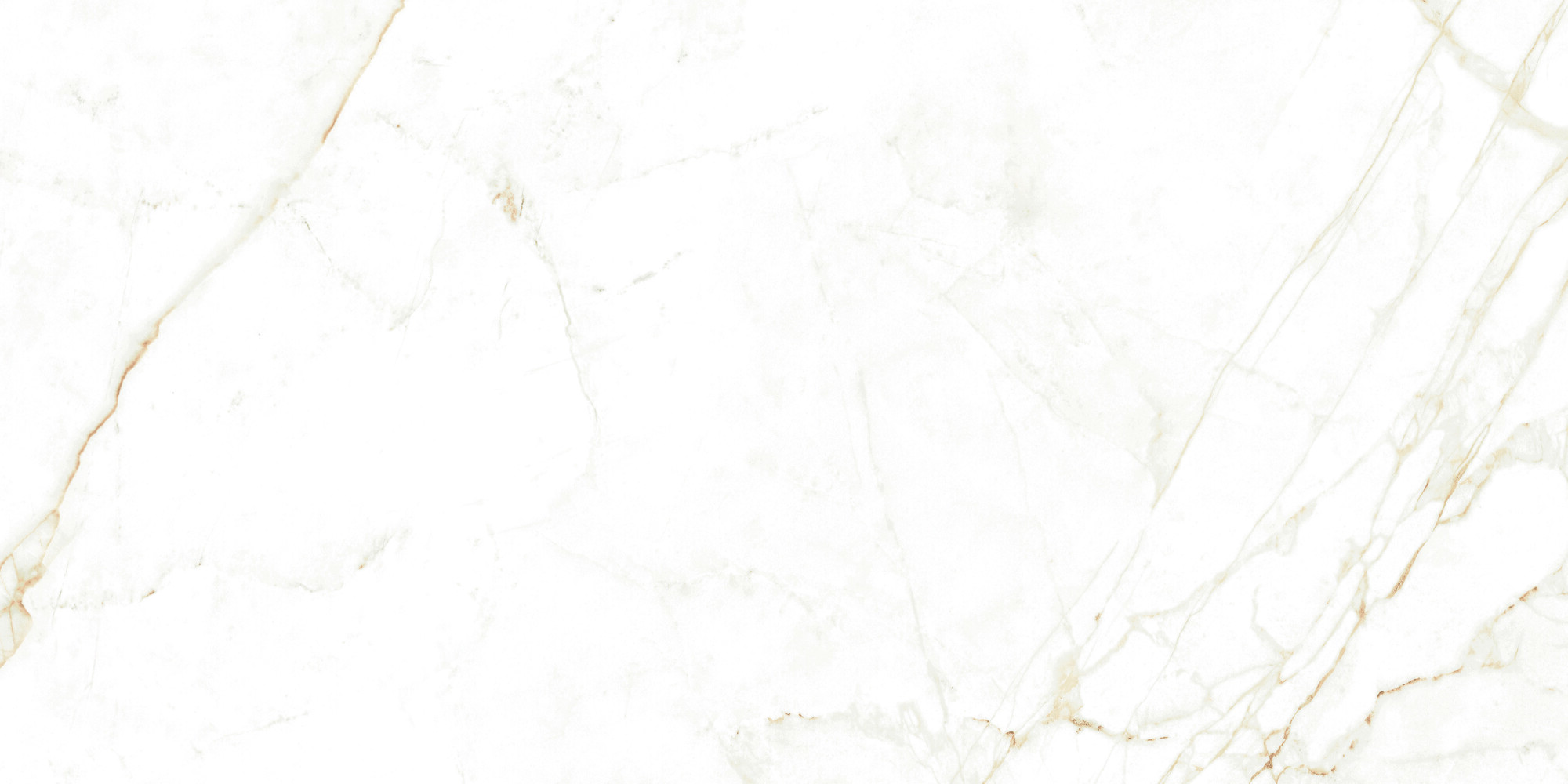 38712 Dual White NT/60X120X0,9/C/R 60x120 Peronda фото 12