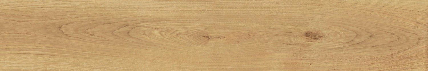 AO48 Exence Almond 20x120 Atlas Concorde