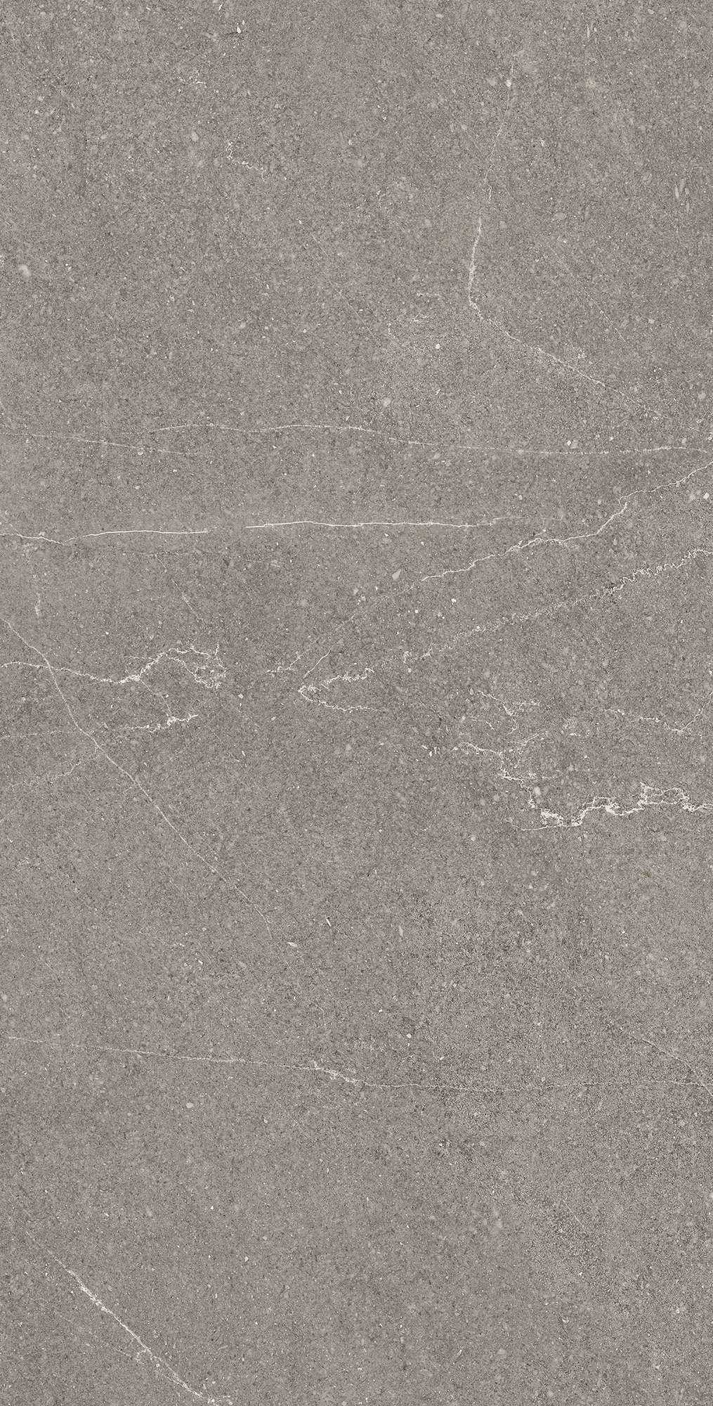 RG6002-A Equistone Graphite Rotto Glossy Ink 60x120 Arcadia Ceramica