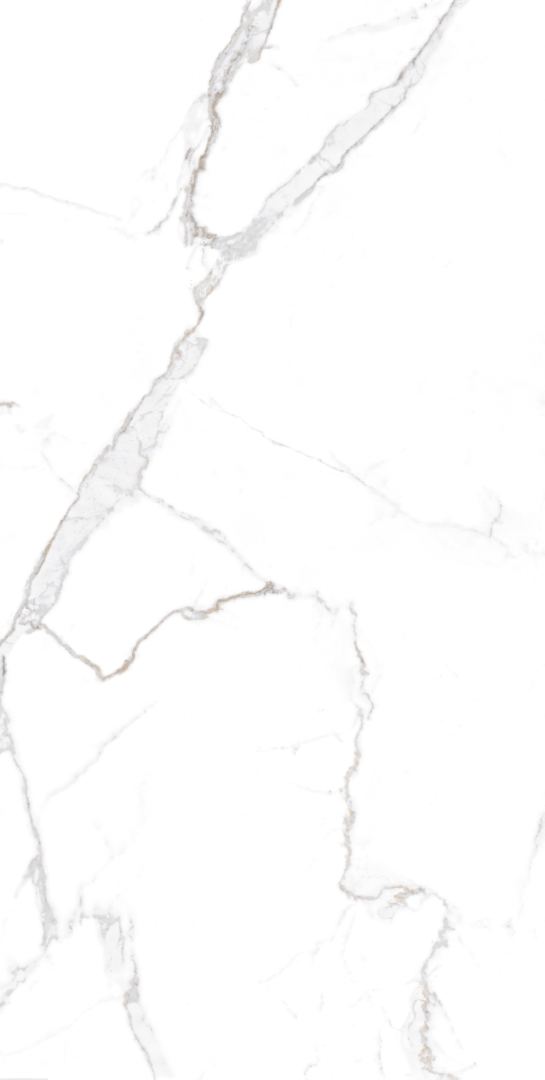 Satori Statuario Glossy 60x120 Modern Tile