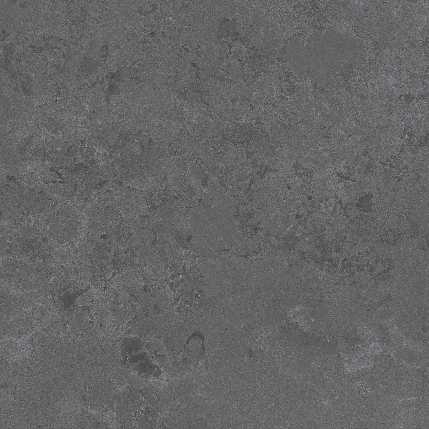 DD640800R Про Лаймстоун серый темный натуральный обрезной R10 60х60 Kerama Marazzi