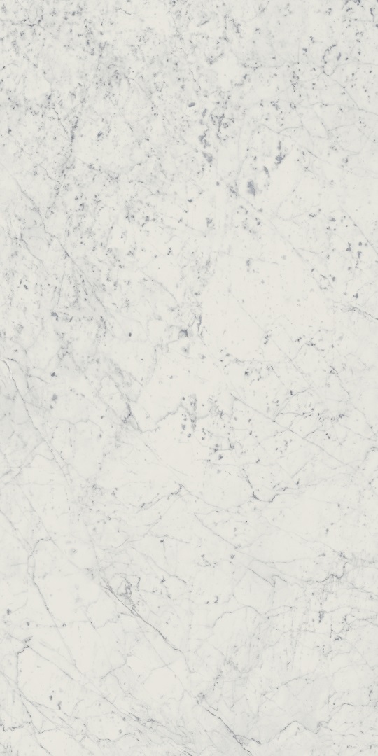 610010001194 Charme Extra Carrara Nat Ret 60x120 Italon