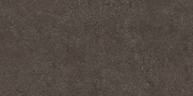 Thar Wood 60x120 Colortile
