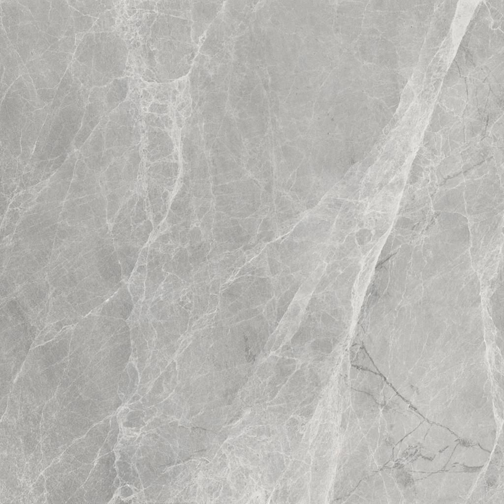 Worner GREY 60x60 Bluezone