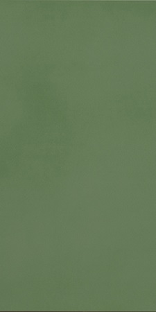 R-Evolution Green 9mm 60x120 Casalgrande Padana