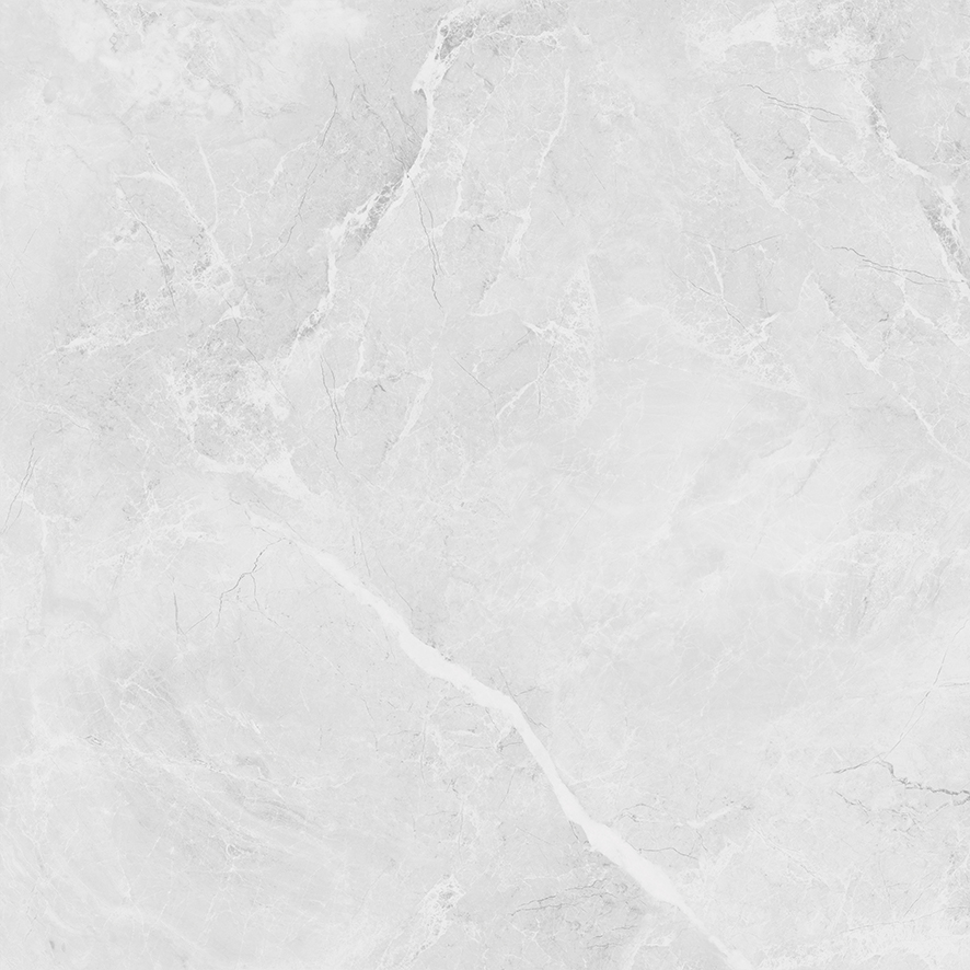 LP6060G0241R Berna Silver светло-серый матовый 59,5х59,5 Laparet