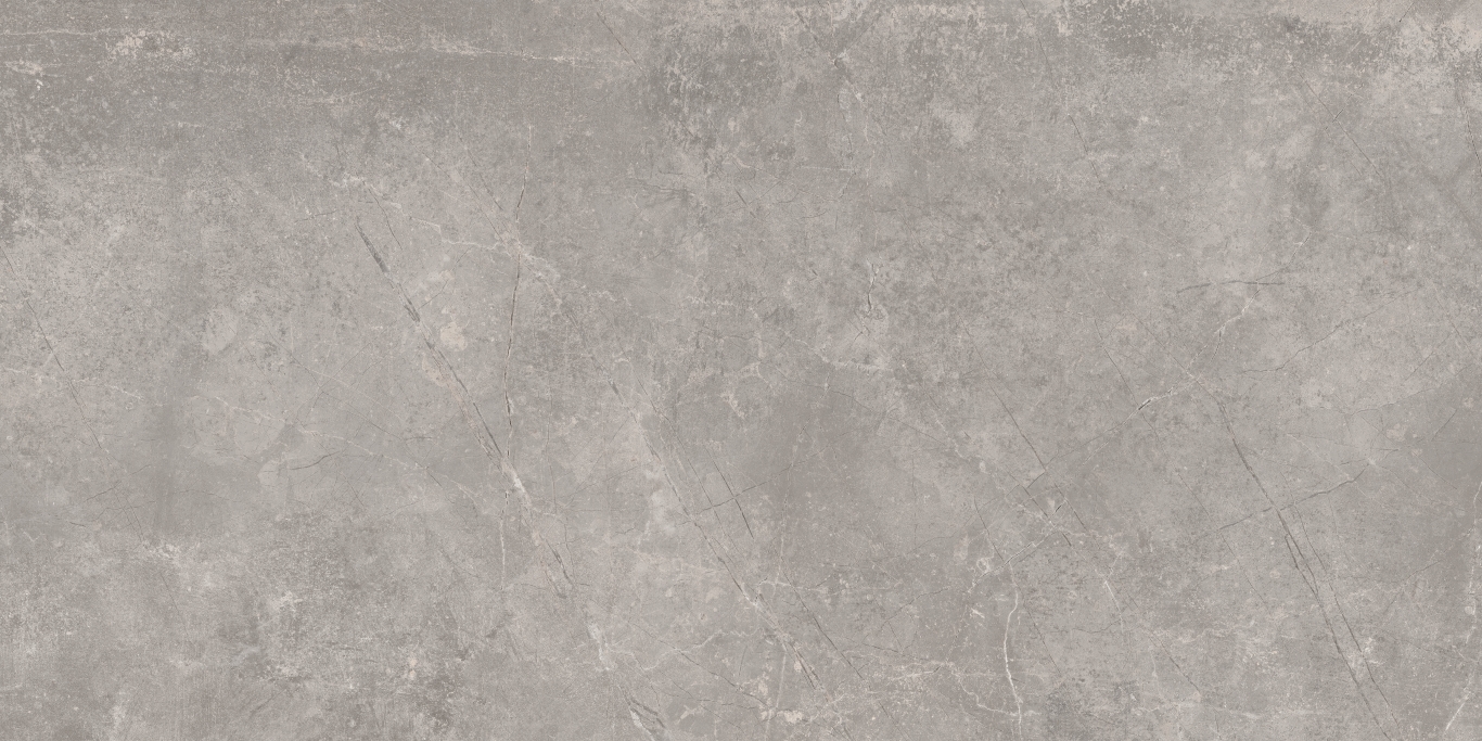 Concept Gray 60x120 Baldocer