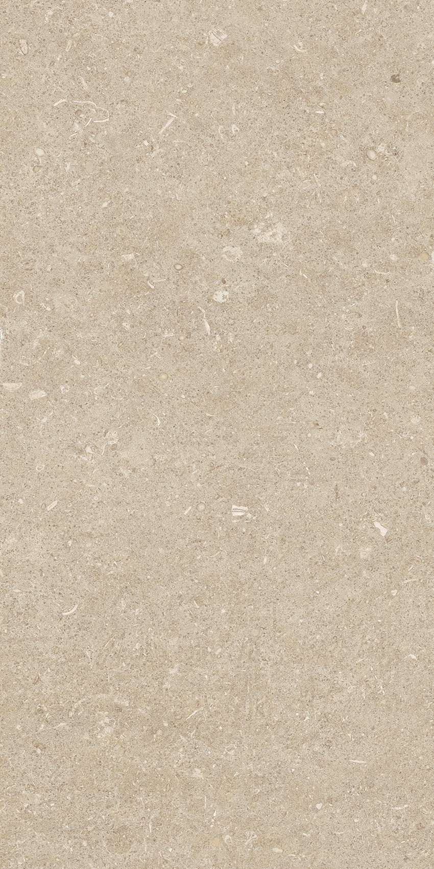 785489 Rinascenza Arena Conchiglia Matte 30x60 Casa Dolce Casa фото 8