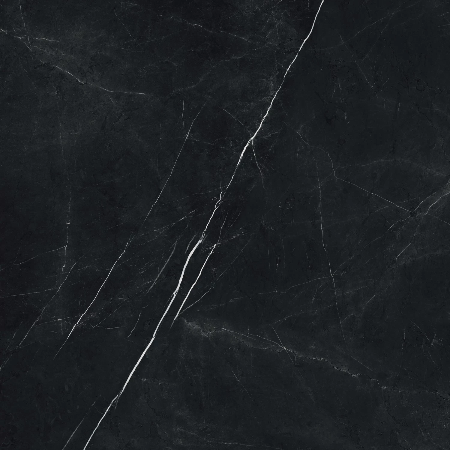 610010002720 Forte dei Marmi Elegant Black Rett 80x80 Atlas Concorde Russia