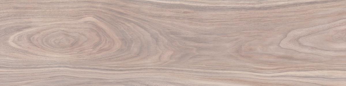 WD09 Forest Crema 20x80 PrimaVera