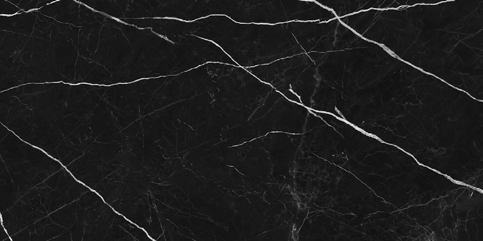 NR209 Ross Black 60x120 PrimaVera
