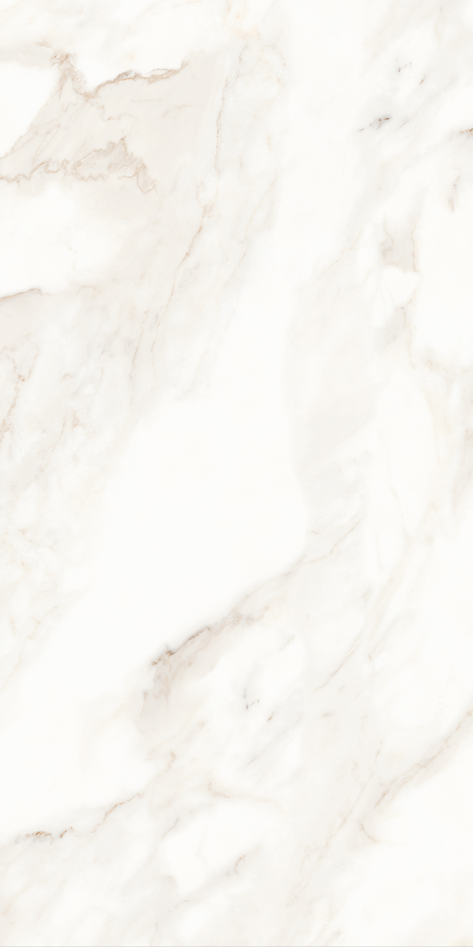 MPL-058623 Calacatta Polished 60x120 Creto