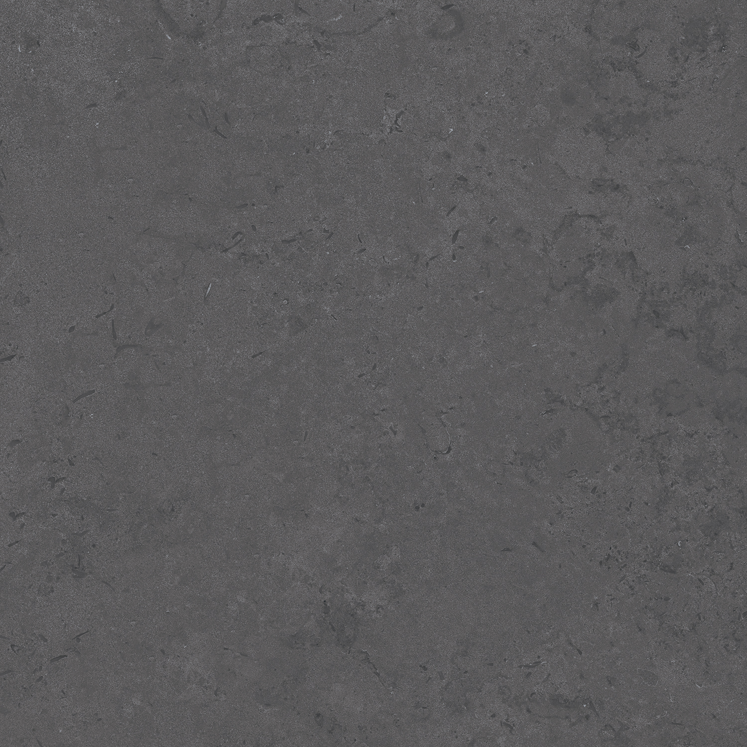 DD640820R Про Лаймстоун серый темный натуральный обрезной 60х60 Kerama Marazzi