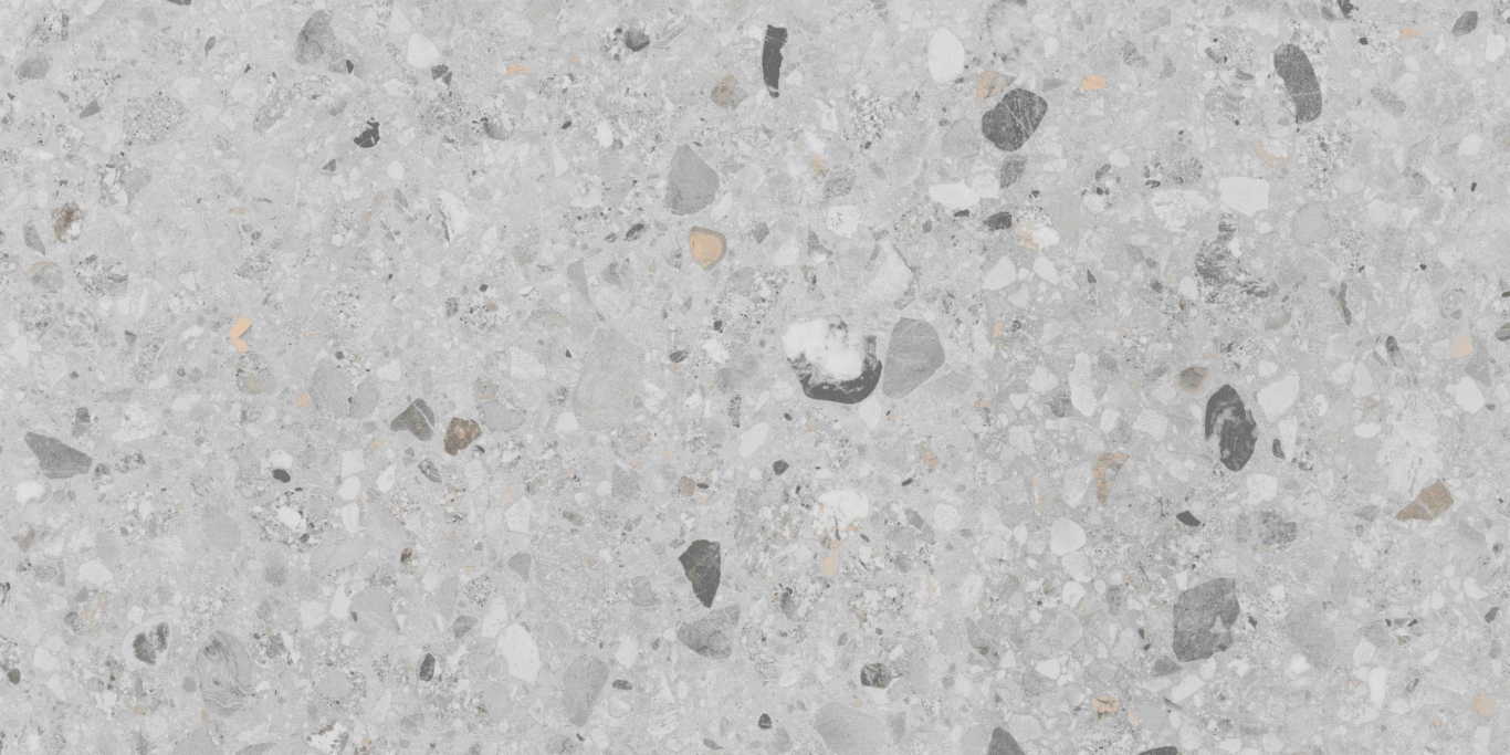 SVL4445C Sonata Terra Gris Carving 60x120 Buono Ceramica
