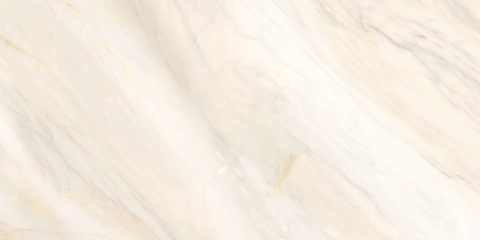 60120CAA01 Carolina Crema Sugar 600x1200x9.5 Delacora