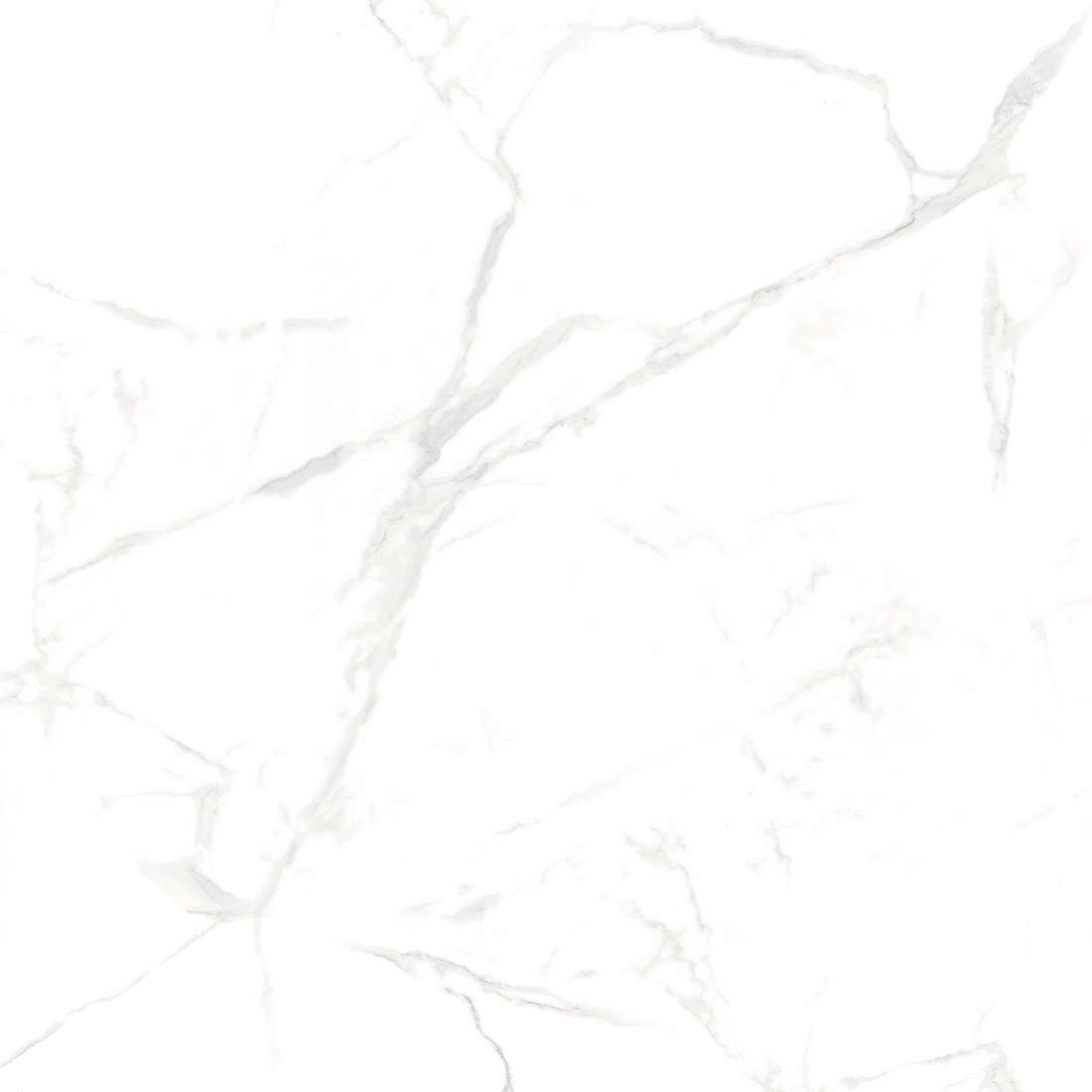 NTT996070M Callacata Carving 60x60 NT Ceramic