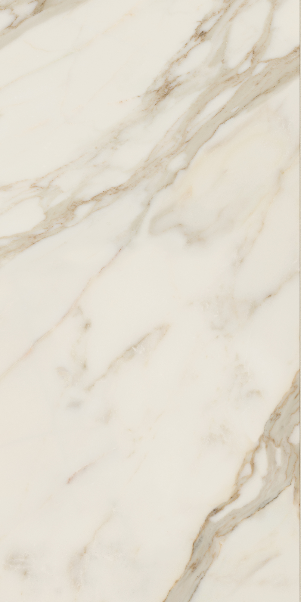 AGB4 Golden White Luc 60x120 Caesar